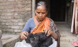 ظاهرة غامضة تتسبب في سقوط شعر جماعي لسكان إحدى ولايات الهند